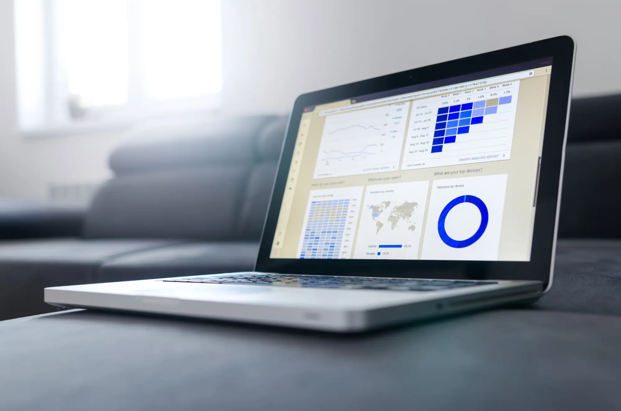 Case Management Organization Tool - Streamline Your Practice